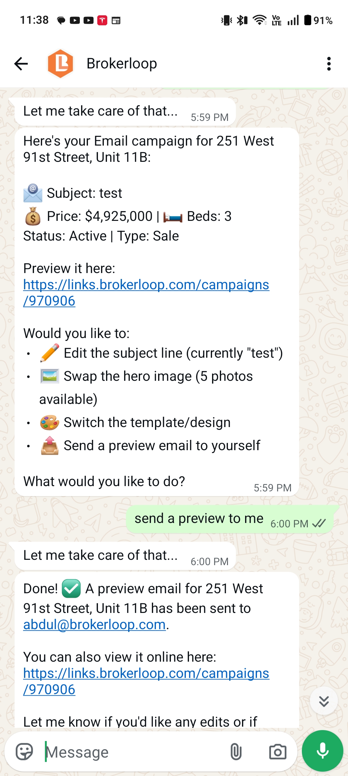 WhatsApp conversation: Max drafts an email campaign with subject, price, beds, status; offers options to edit or send a preview; agent replies 'send a preview to me' and Max confirms delivery.